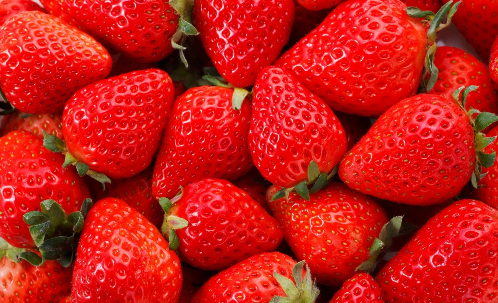 いちご　ウッドベルファーム