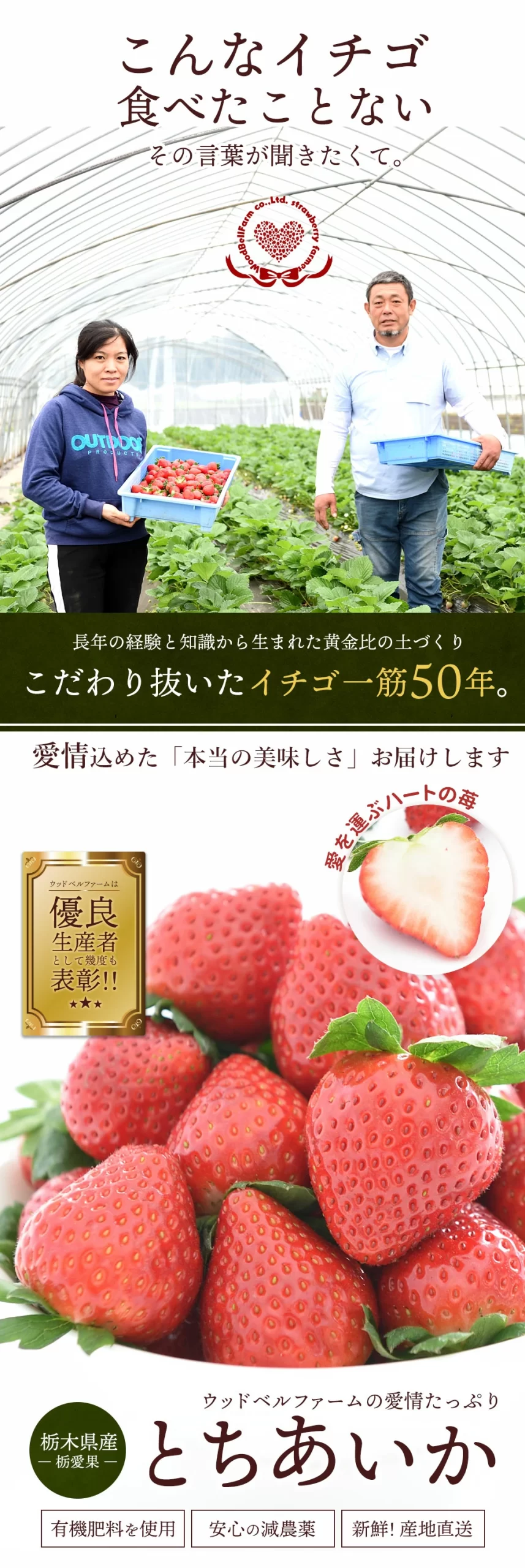 こんなイチゴたべたことがない