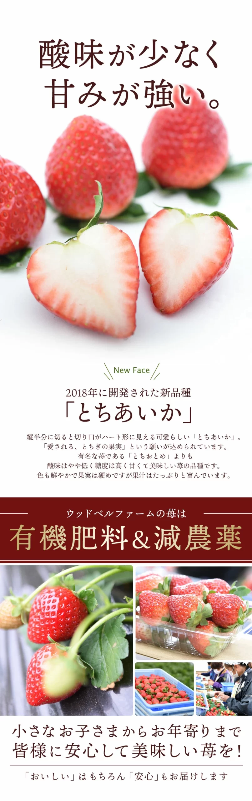 酸味が少なく甘みが強い