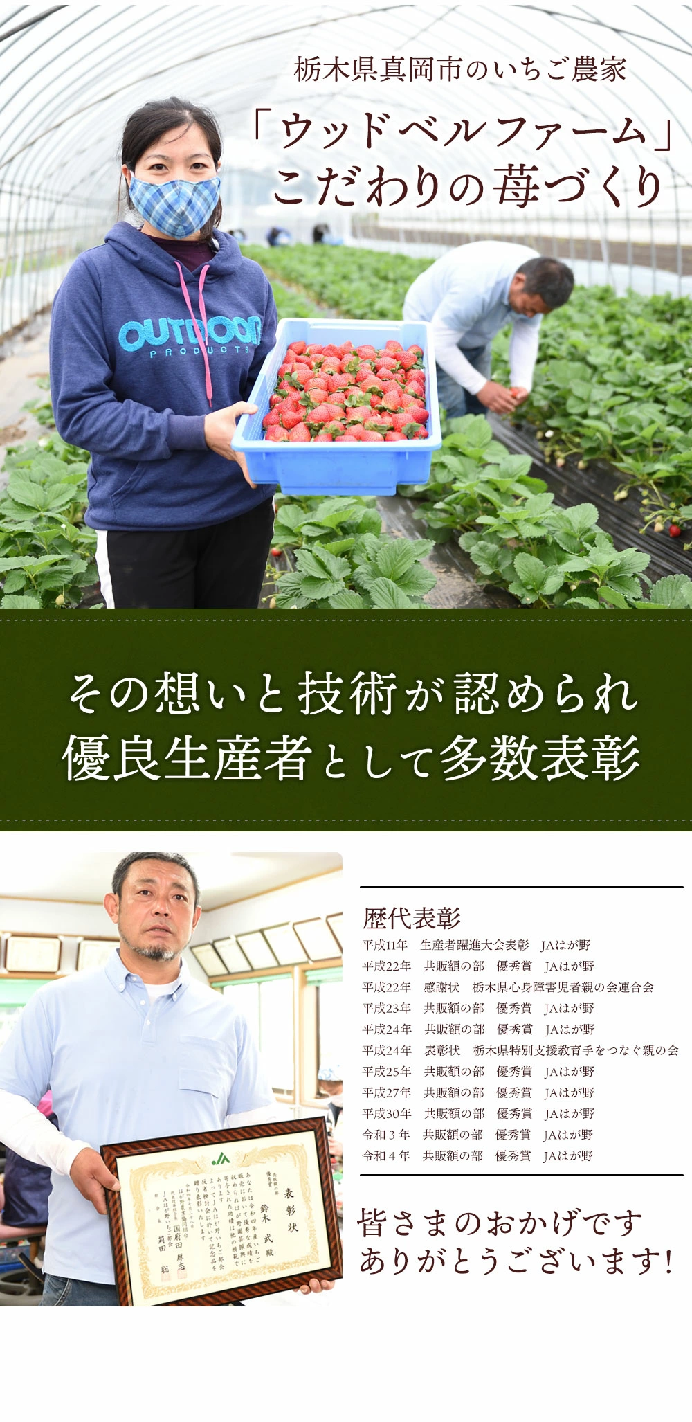 ウッドベルファームこだわりの苺づくり