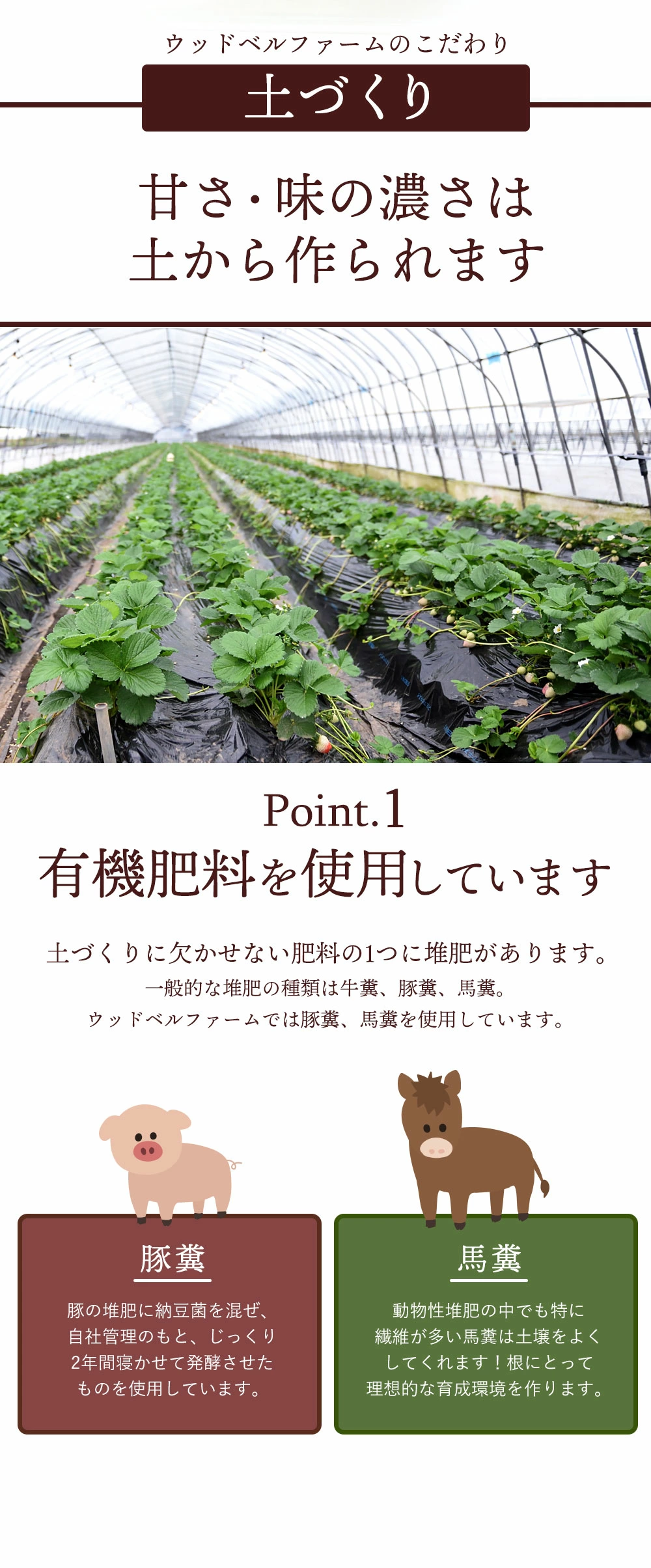 ウッドベルファームのこだわり