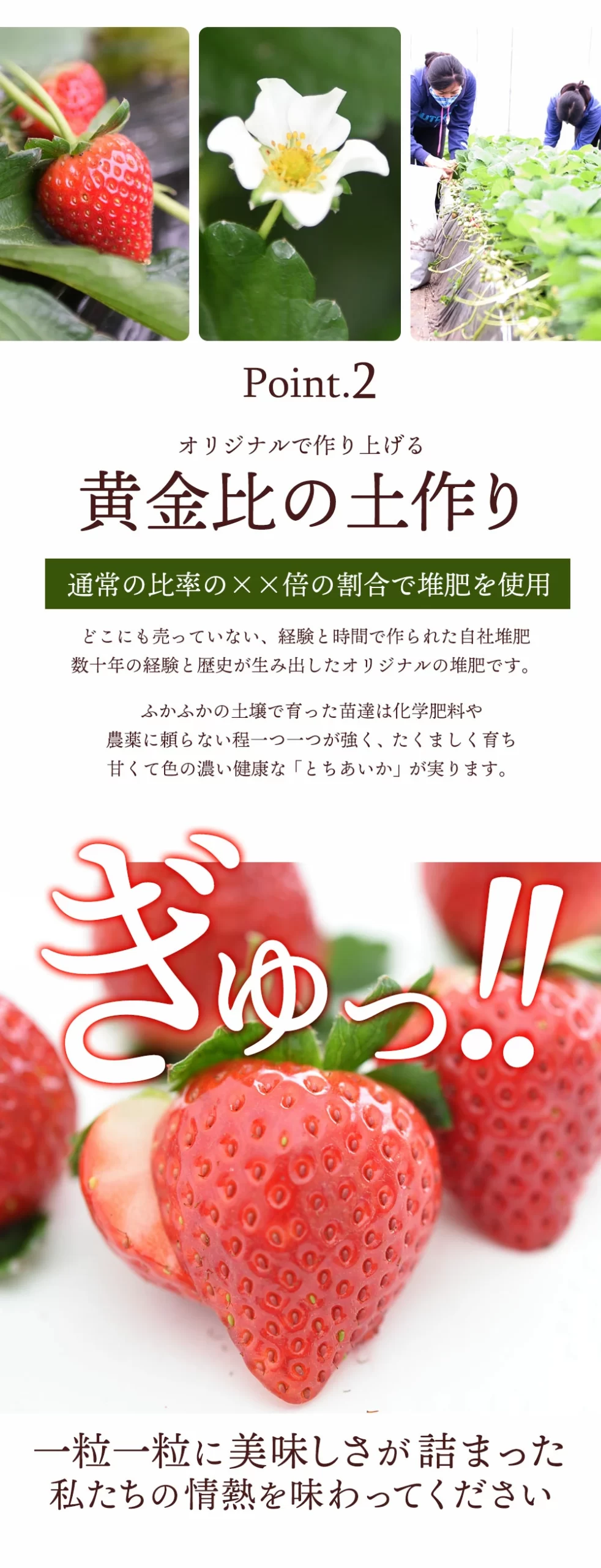 といあいかは甘くて色の濃い