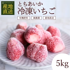 とちあいか 冷凍いちご 5kg